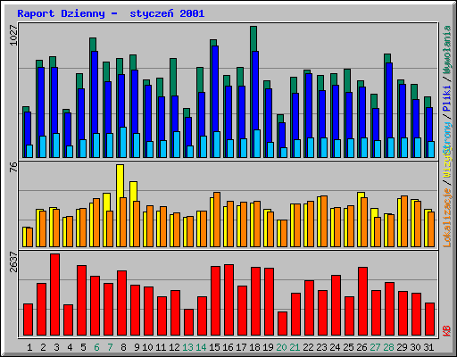 Raport Dzienny -  stycze� 2001