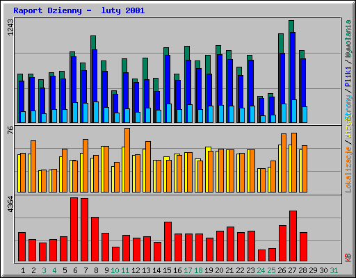 Raport Dzienny -  luty 2001