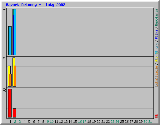 Raport Dzienny -  luty 2002