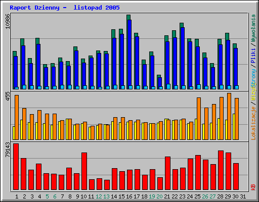Raport Dzienny -  listopad 2005