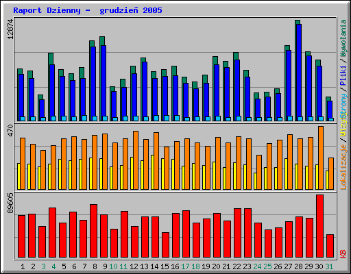Raport Dzienny -  grudzie� 2005