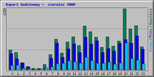 Raport Godzinowy -  czerwiec 2000