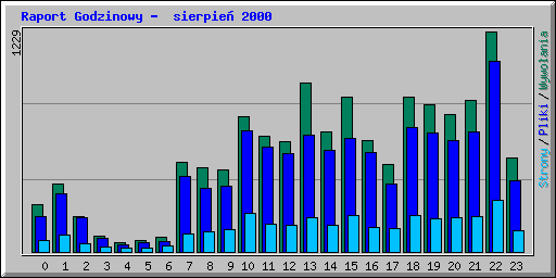 Raport Godzinowy -  sierpie� 2000