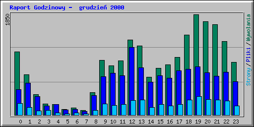 Raport Godzinowy -  grudzie� 2000