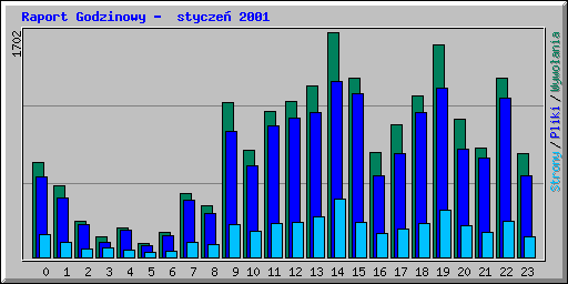 Raport Godzinowy -  stycze� 2001