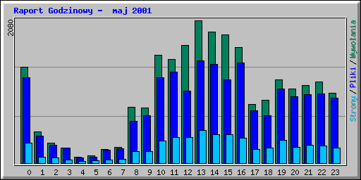 Raport Godzinowy -  maj 2001