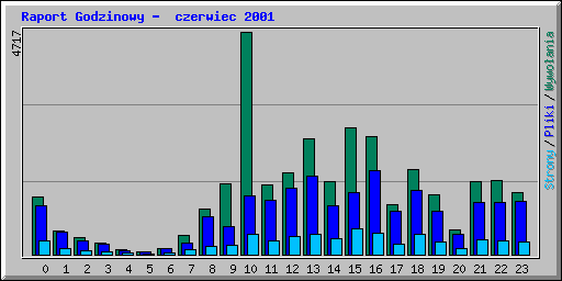 Raport Godzinowy -  czerwiec 2001