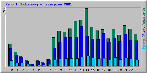 Raport Godzinowy -  sierpie� 2001