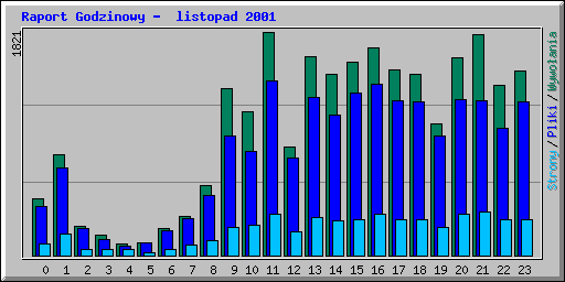 Raport Godzinowy -  listopad 2001