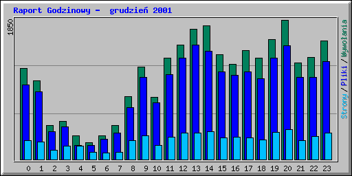 Raport Godzinowy -  grudzie� 2001
