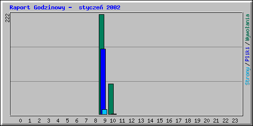 Raport Godzinowy -  stycze� 2002