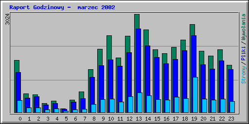 Raport Godzinowy -  marzec 2002