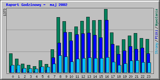Raport Godzinowy -  maj 2002