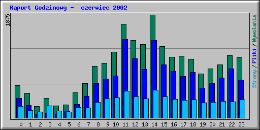 Raport Godzinowy -  czerwiec 2002