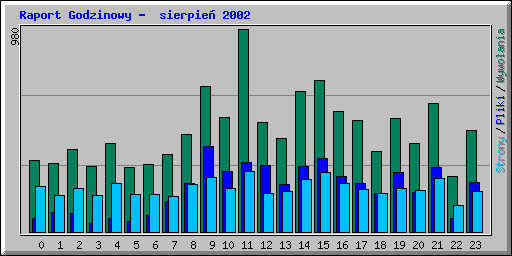 Raport Godzinowy -  sierpie� 2002
