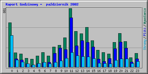 Raport Godzinowy -  pa�dziernik 2002