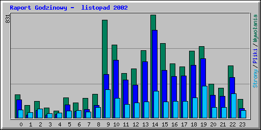 Raport Godzinowy -  listopad 2002