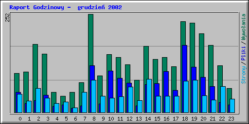 Raport Godzinowy -  grudzie� 2002