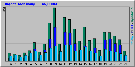 Raport Godzinowy -  maj 2003