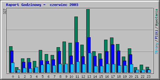Raport Godzinowy -  czerwiec 2003