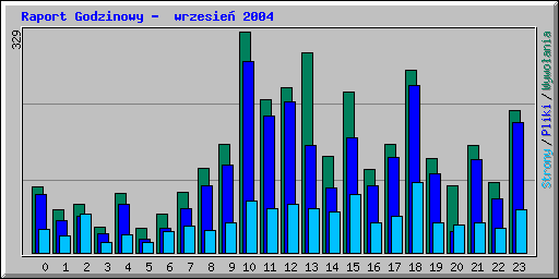 Raport Godzinowy -  wrzesie� 2004