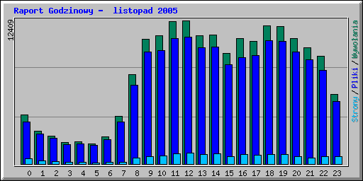 Raport Godzinowy -  listopad 2005