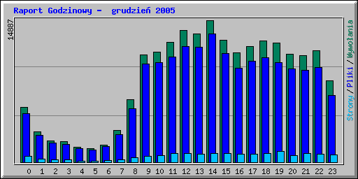 Raport Godzinowy -  grudzie� 2005