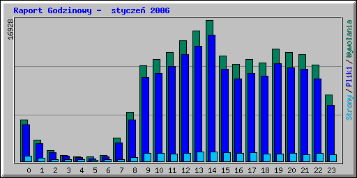 Raport Godzinowy -  stycze� 2006
