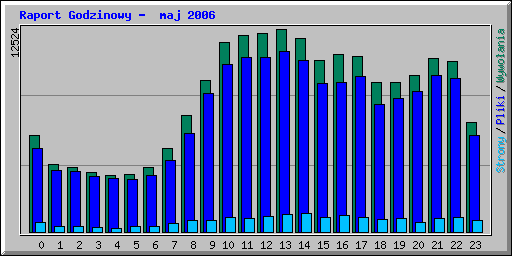 Raport Godzinowy -  maj 2006