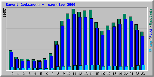 Raport Godzinowy -  czerwiec 2006