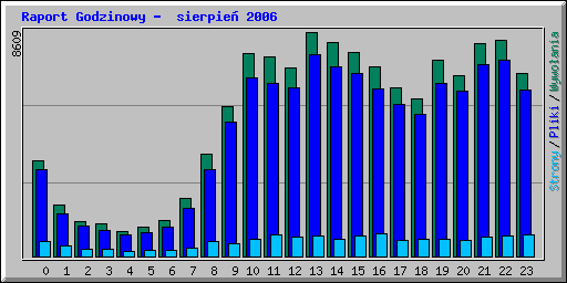 Raport Godzinowy -  sierpie� 2006