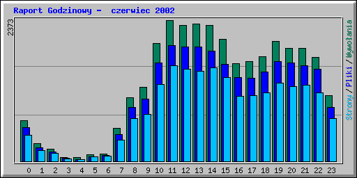 Raport Godzinowy -  czerwiec 2002